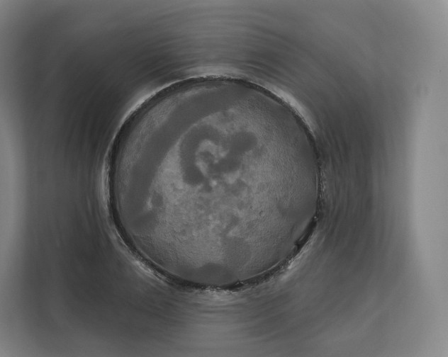 X0000112200983200908211537