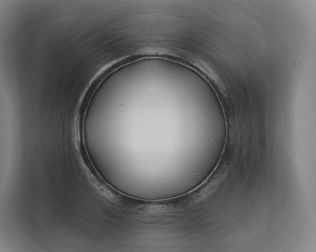 X0000112200984200908211537