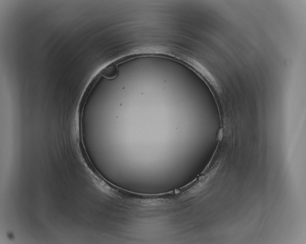 X0000112200988200908211537