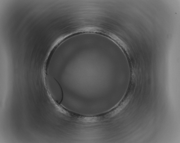 X0000112200989200908211537