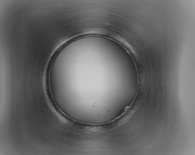 X0000112200991200908211537