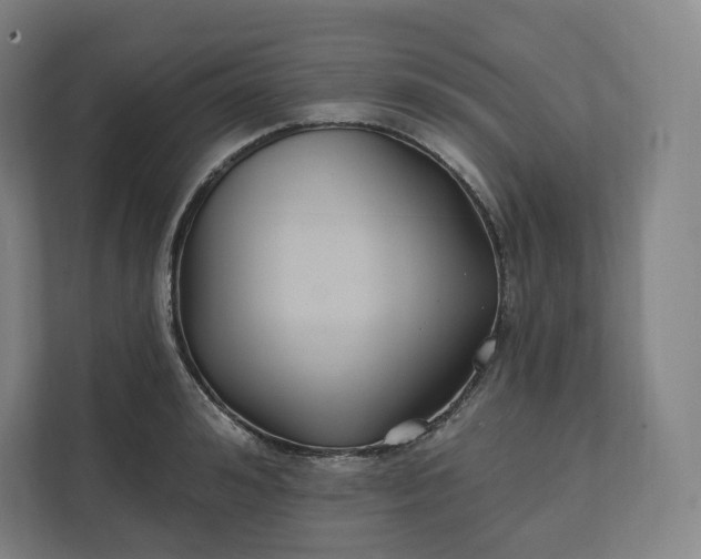 X0000112200992200908211537