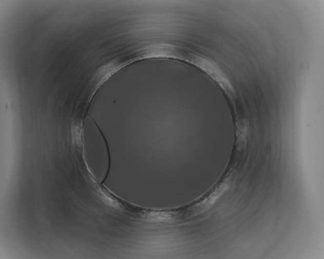 X0000112200993200908211537