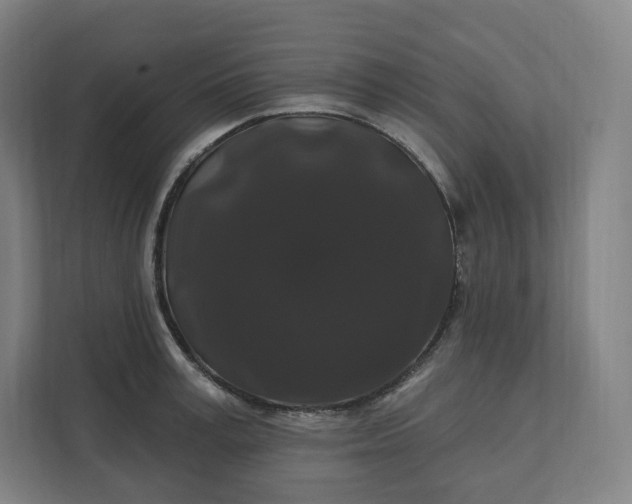 X0000112200995200908211537