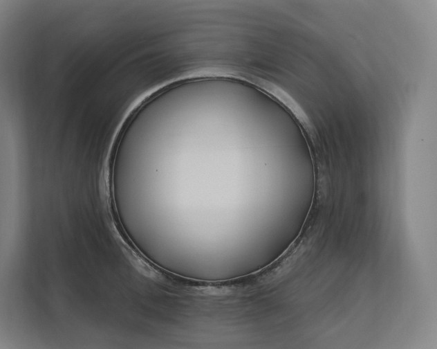 X0000112200996200908211537