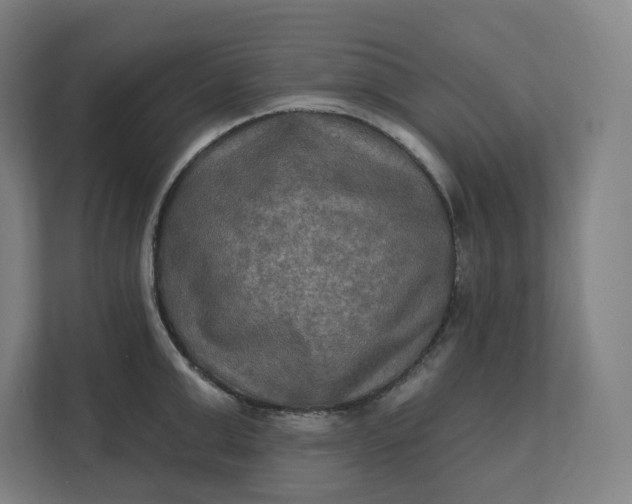 X0000112200999200908211537