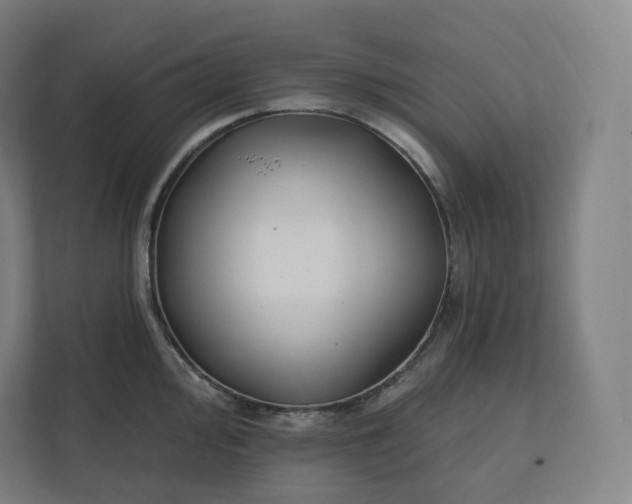 X0000112201000200908211537