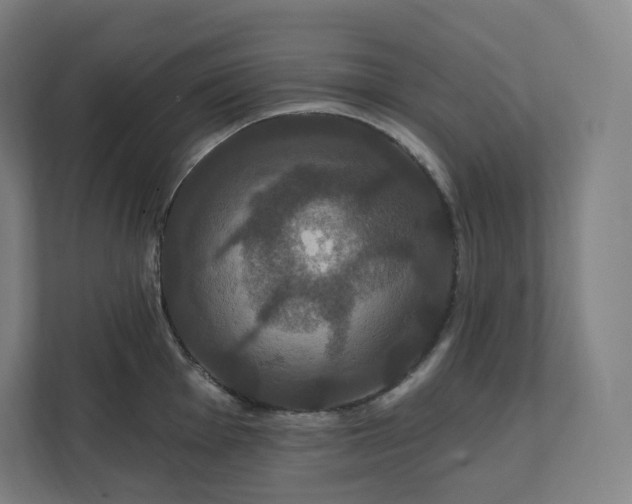 X0000112201001200908211537