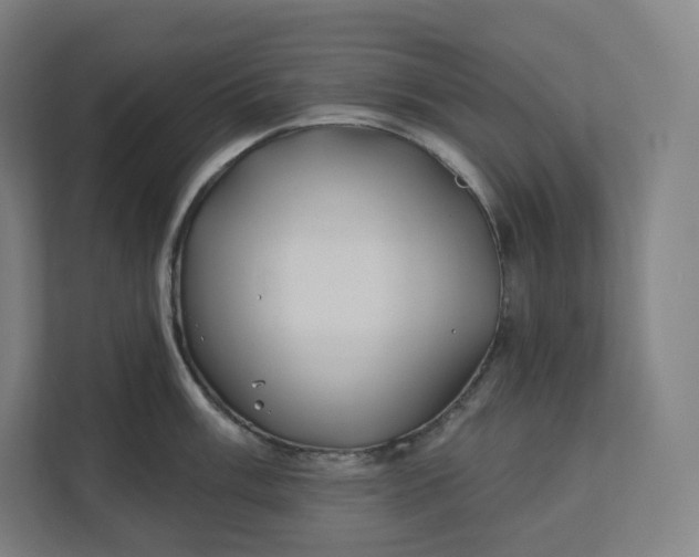 X0000112201003200908211537