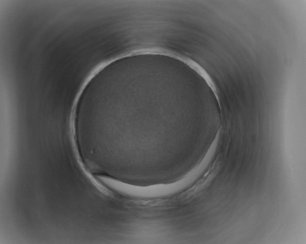 X0000112201005200908211537