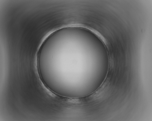 X0000112201006200908211537