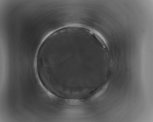 X0000112201007200908211537