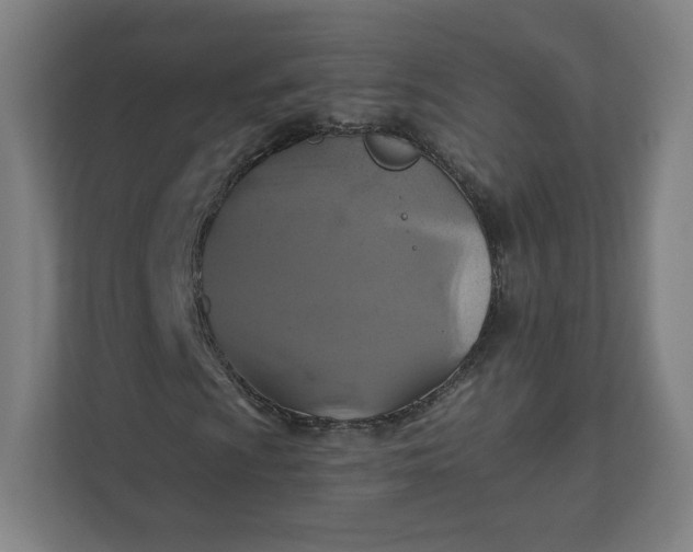 X0000112201009200908211536