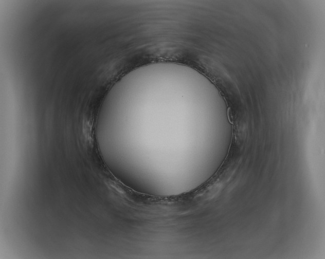 X0000112201010200908211536