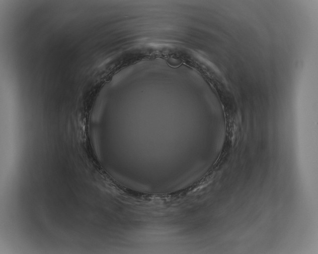 X0000112201013200908211536