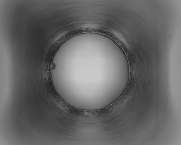 X0000112201015200908211536