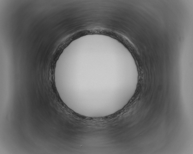 X0000112201016200908211536