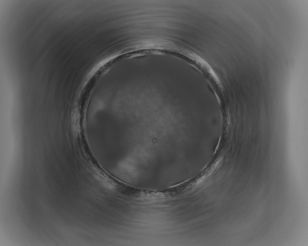 X0000112201019200908211536