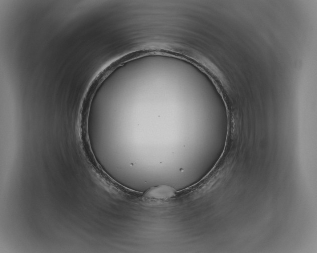 X0000112201020200908211536