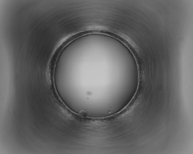 X0000112201022200908211536