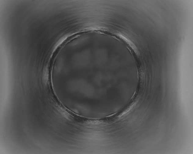 X0000112201023200908211536