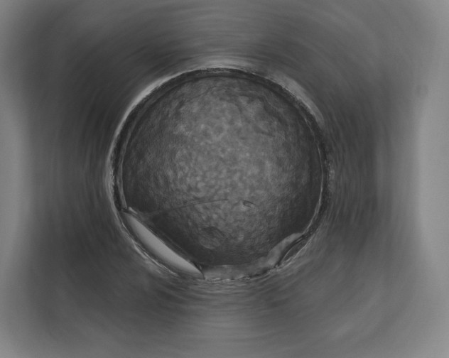 X0000112201024200908211536