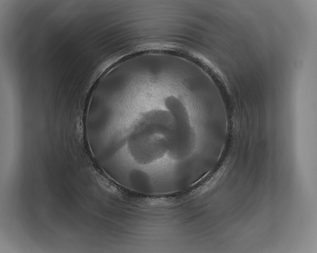 X0000112201025200908211536