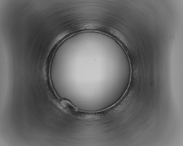 X0000112201026200908211536