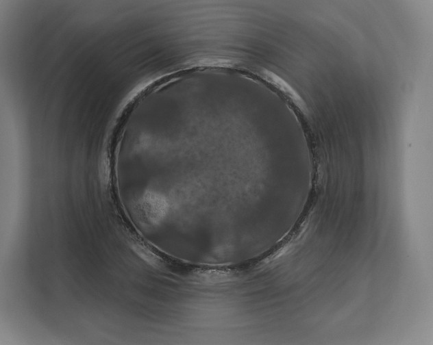 X0000112201027200908211536