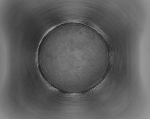 X0000112201028200908211536