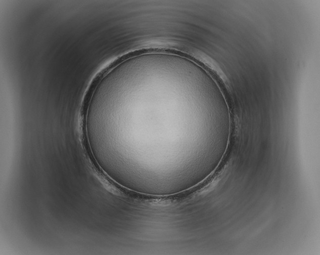 X0000112201029200908211536