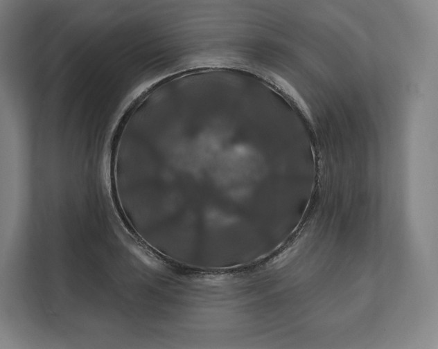 X0000112201035200908211536