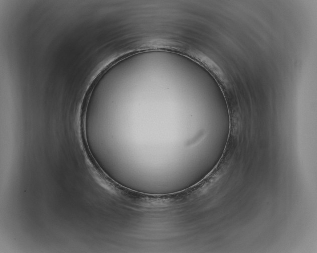 X0000112201039200908211536