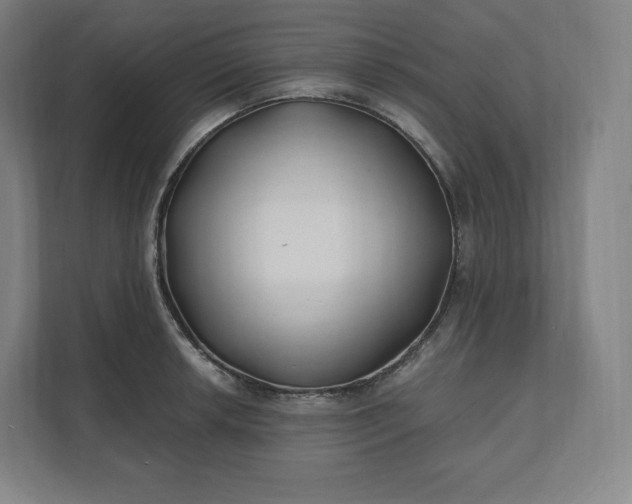 X0000112201042200908211536