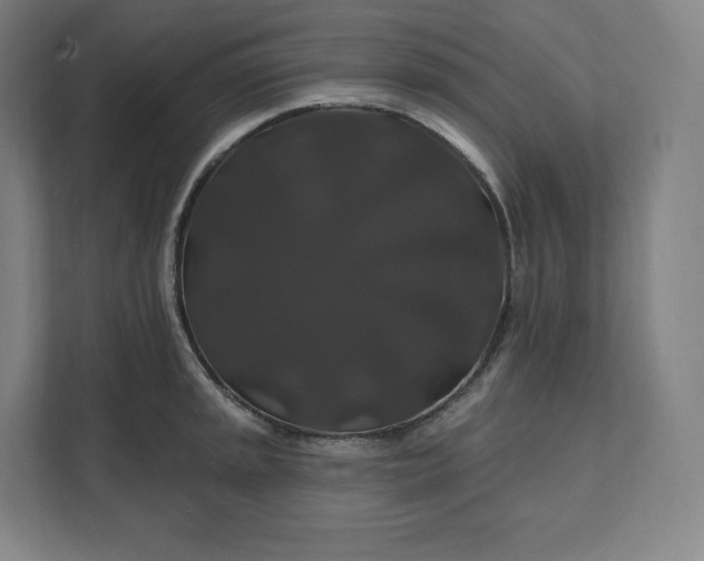 X0000112201045200908211536