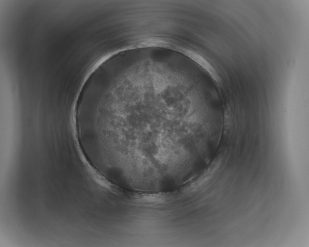 X0000112201047200908211536