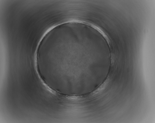 X0000112201048200908211536