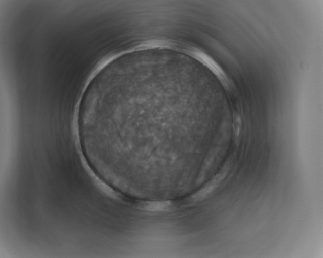 X0000112201055200908211537