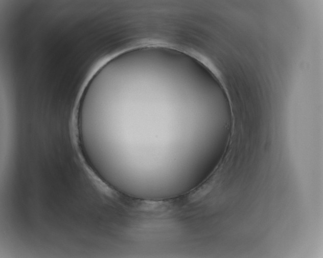 X0000112201056200908211537