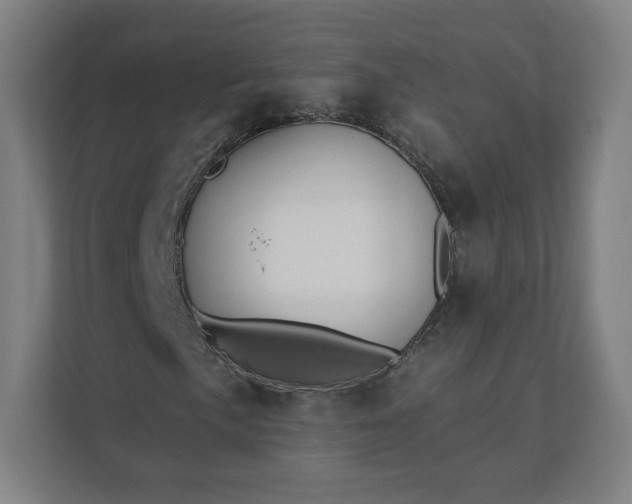 X0000112201057200908211536