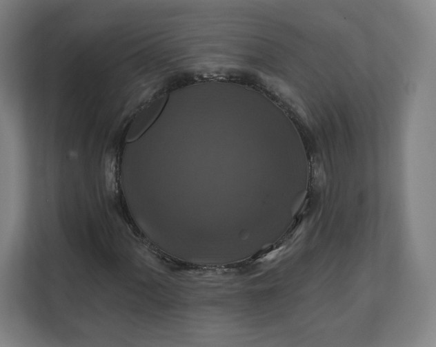 X0000112201060200908211536