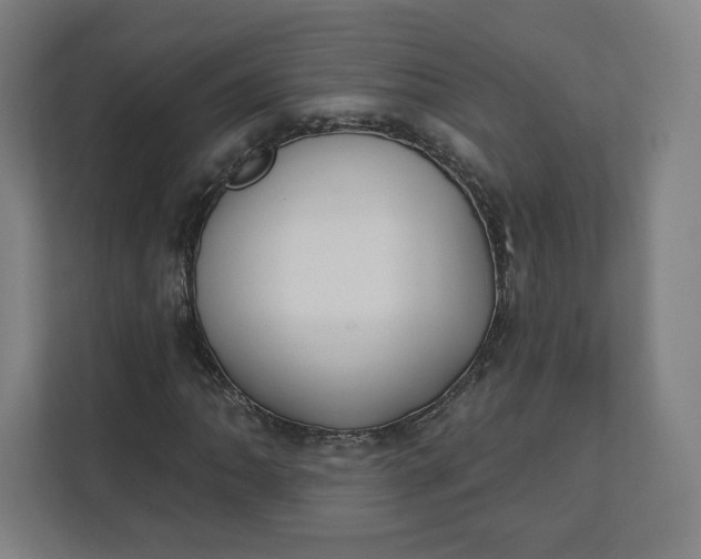 X0000112201062200908211536