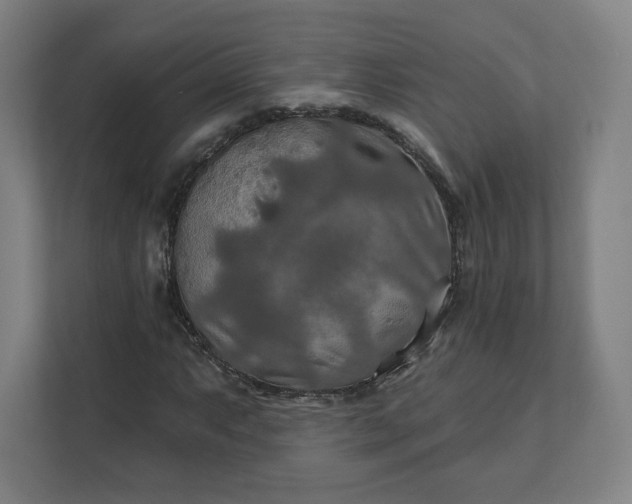 X0000112201063200908211536