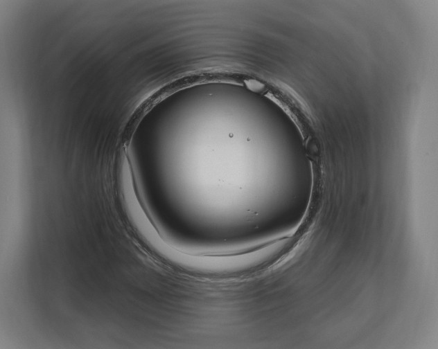 X0000112201065200908211536