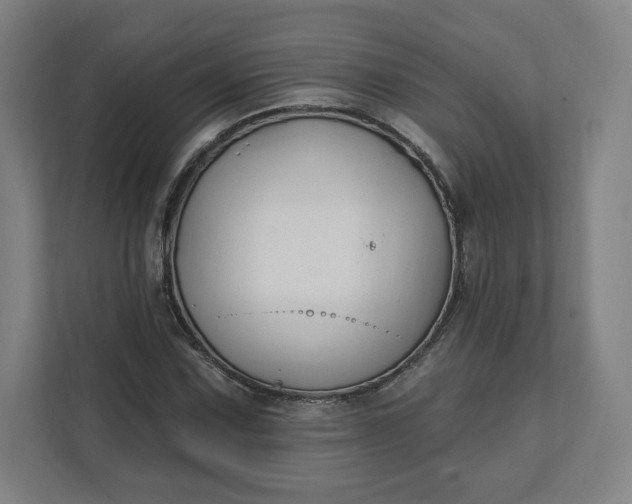 X0000112201067200908211536