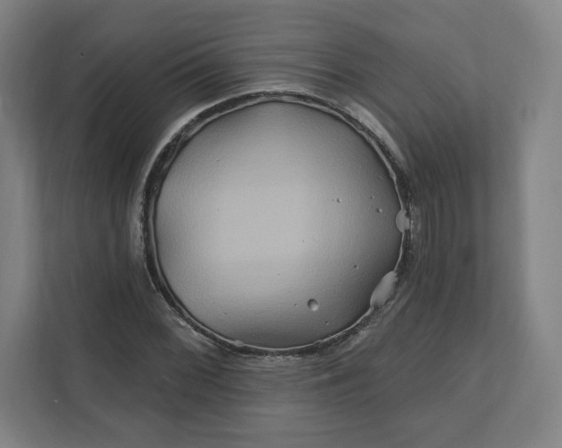 X0000112201068200908211536