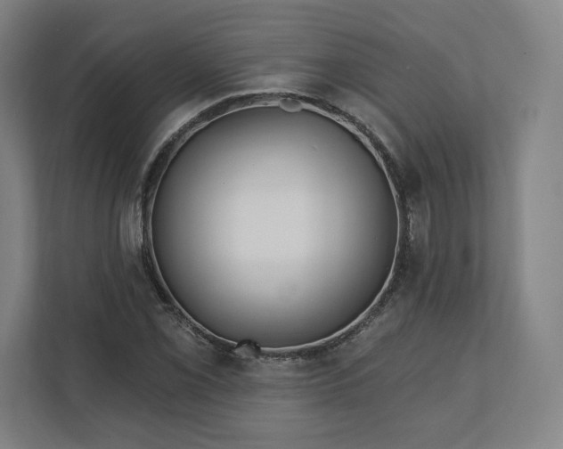 X0000112201069200908211536