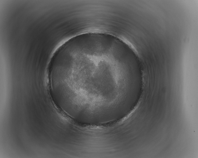 X0000112201070200908211536