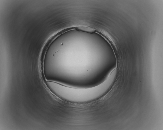 X0000112201072200908211536