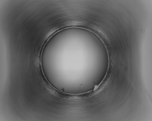 X0000112201073200908211536